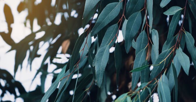 What to Expect During an ADHD Assessment with a Nurse Practitioner